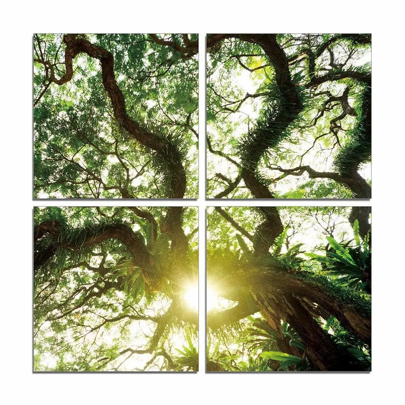 24" Canvas 4 Panels Color Photo