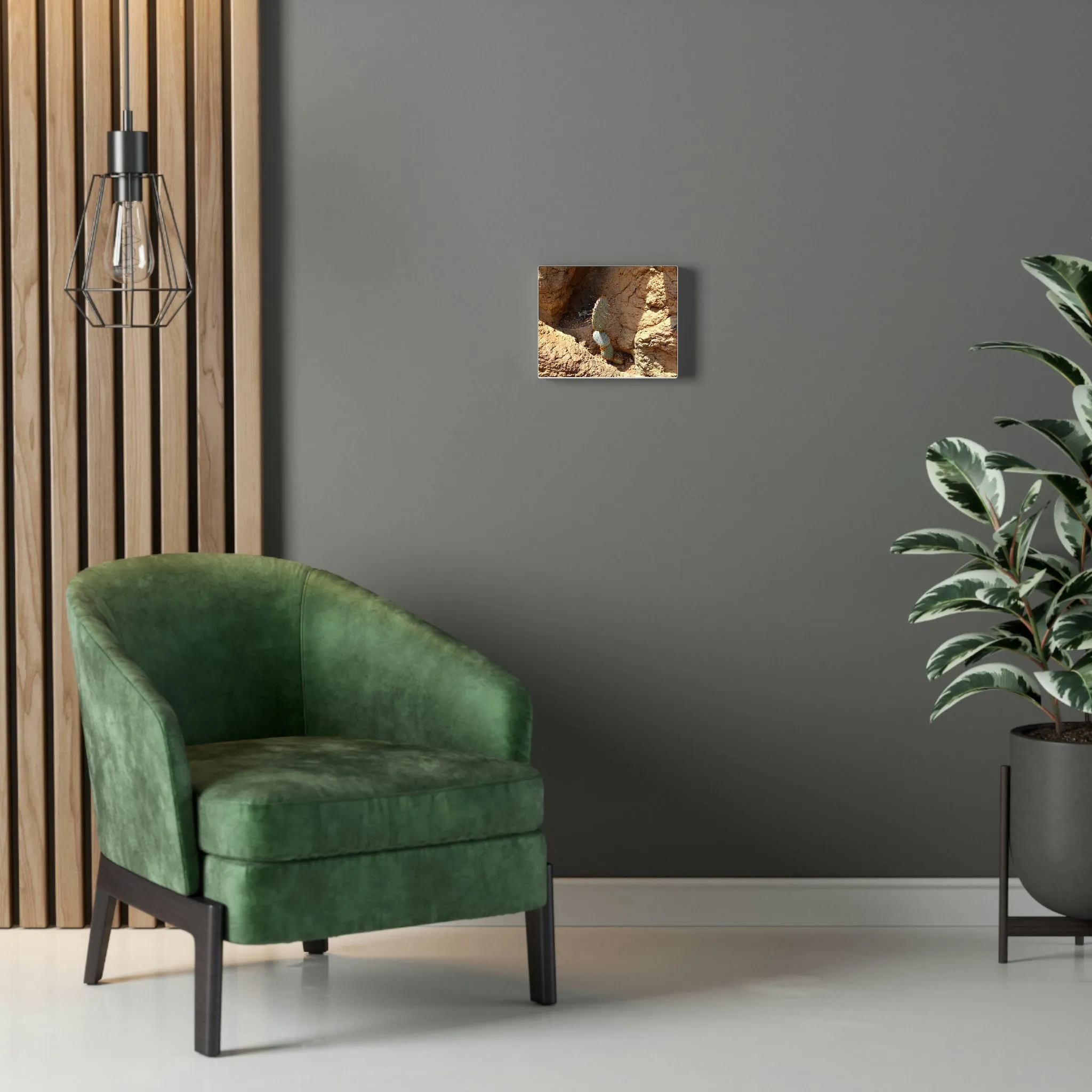 Cactus Stretched Canvas