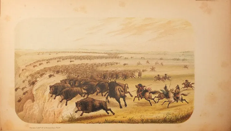 Charles Wilkins Webber (1819-1856), The Hunter-Naturalist. Romance of Sporting; or, Wild Scenes and Wild Hunters