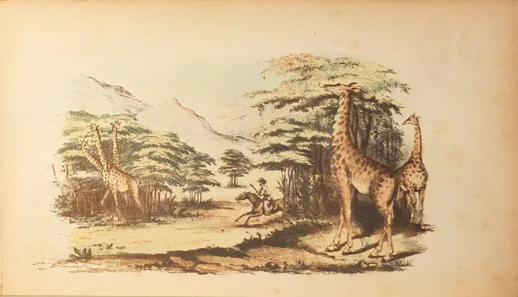 Charles Wilkins Webber (1819-1856), The Hunter-Naturalist. Romance of Sporting; or, Wild Scenes and Wild Hunters
