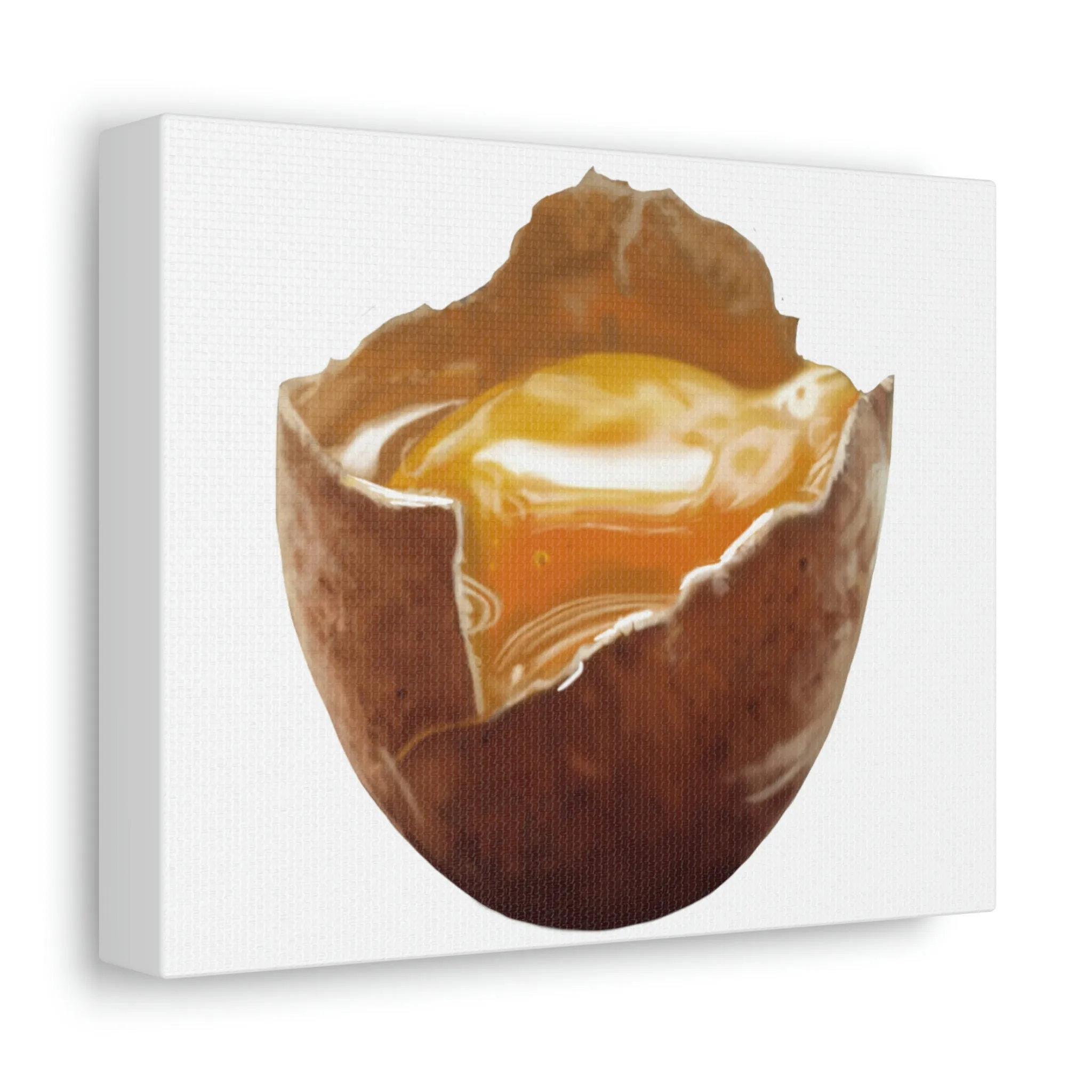Egg Stretched Canvas