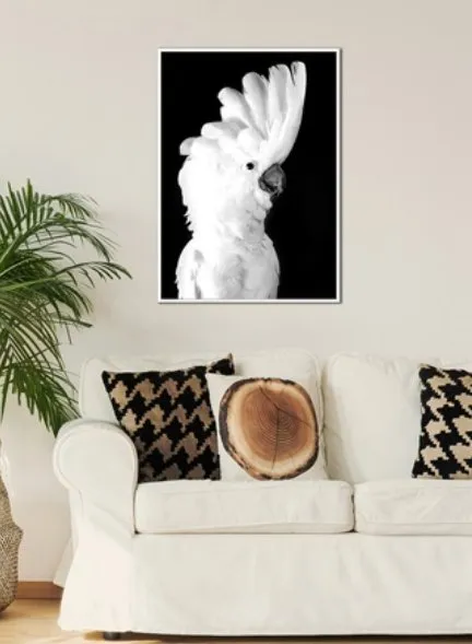 Fine Feathers - Framed Canvas Print