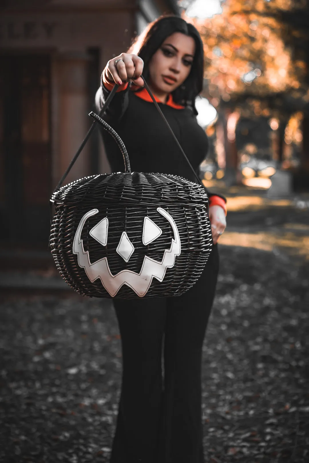 Haunted Hallows Picnic Basket (Black)