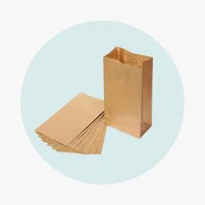 Kraft Paper Bag #4