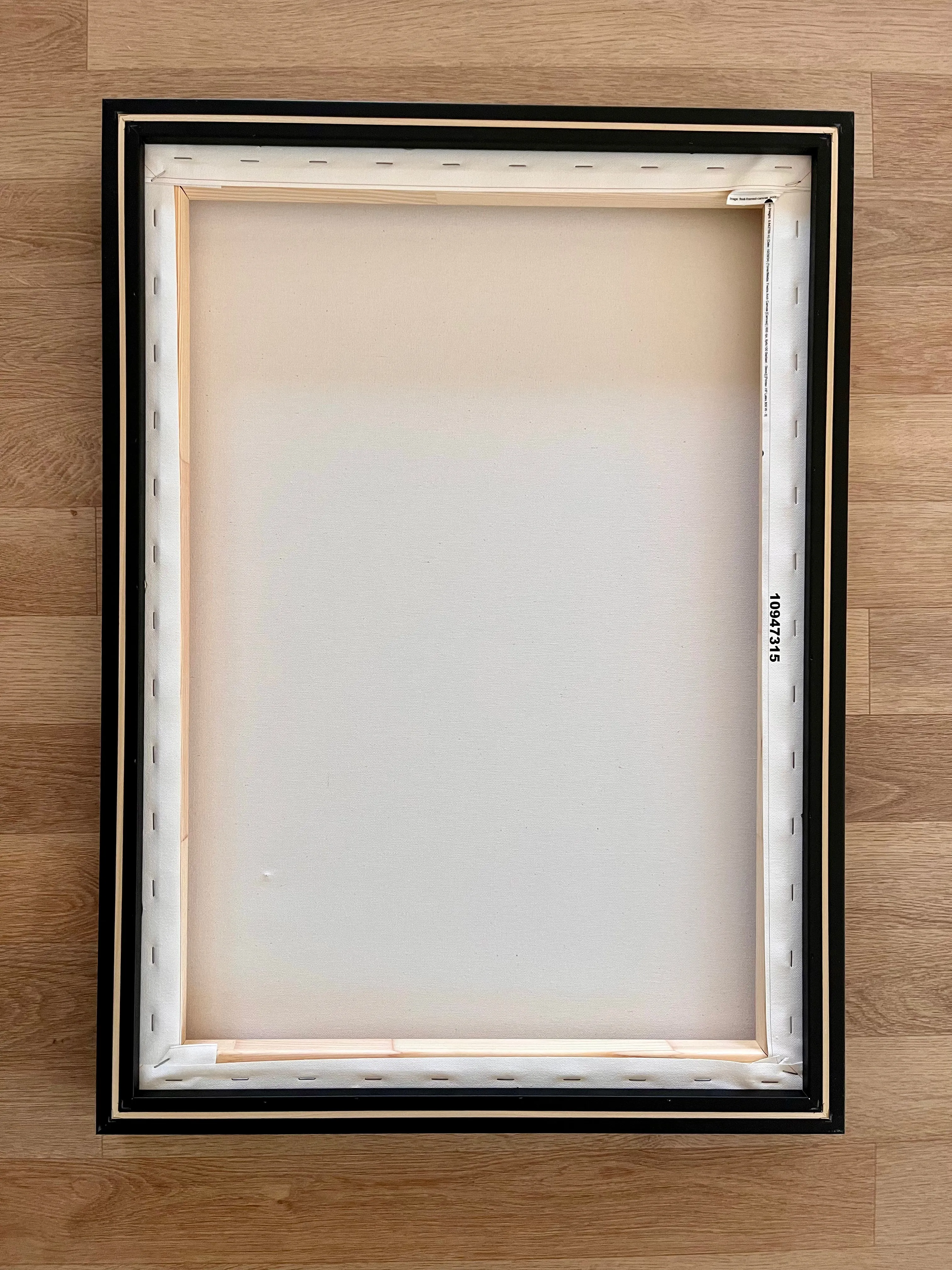 More Imporant than Fear Canvas Print