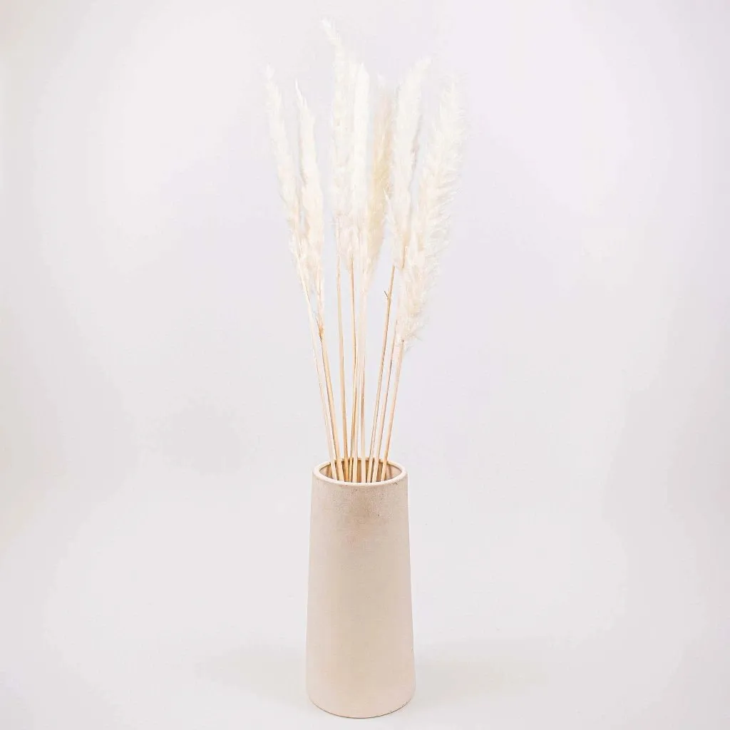 Natural Dried Tail Reed