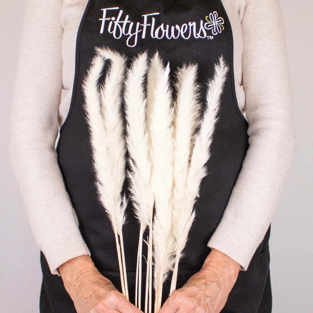 Natural Dried Tail Reed