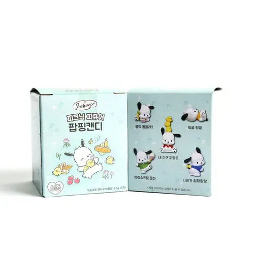 Sanrio Pochacco Picnic Theme Collectable Mystery Figure Blind Box