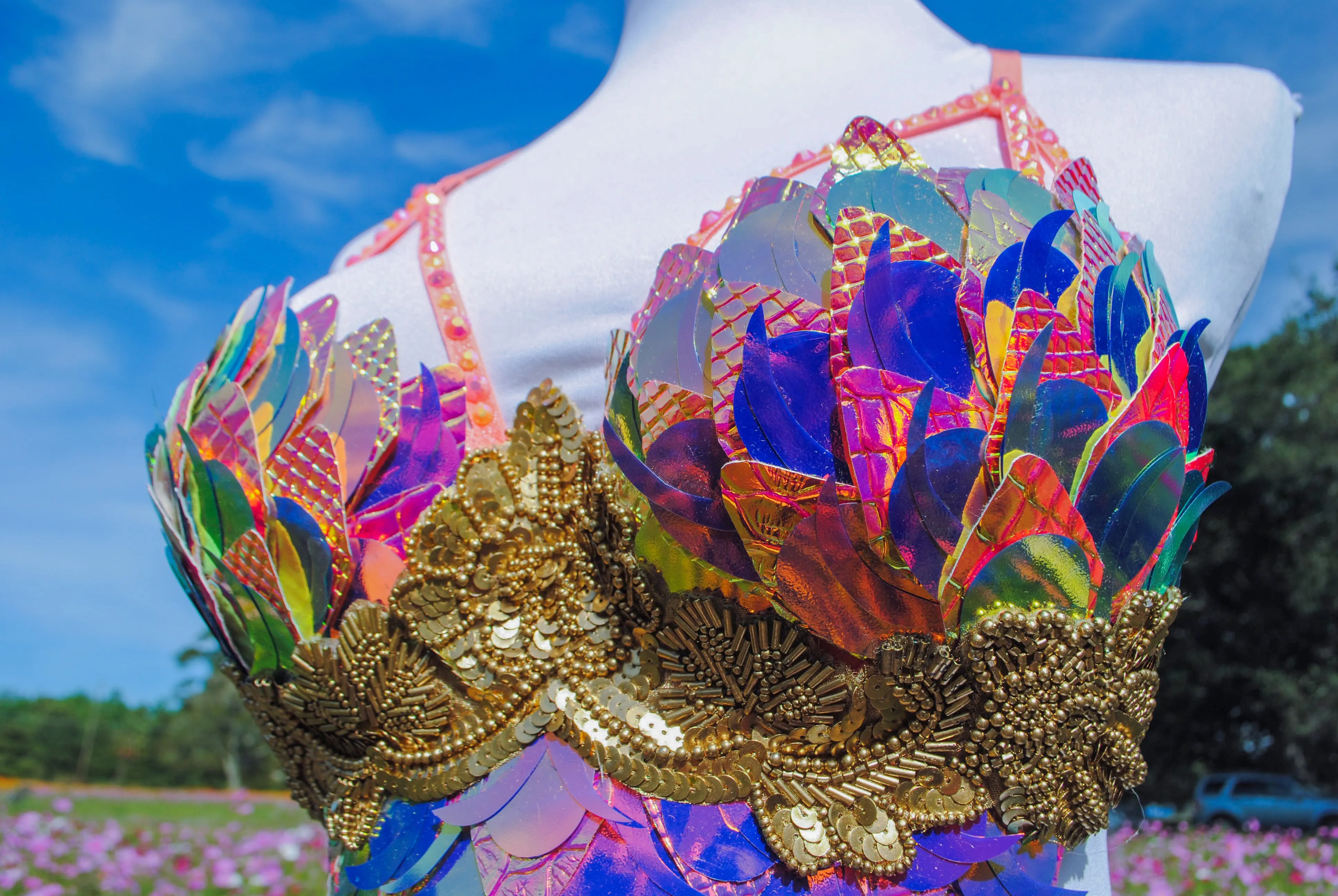 Sunset Dragon Warrior Bra - 34C/36B