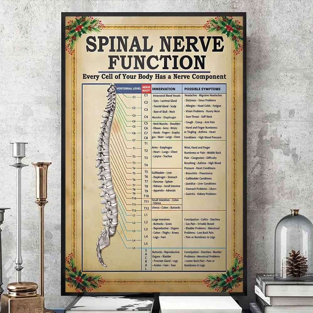 Teesdily | Spinal Nerve Function Poster, Chiropractic Spine Canvas Wall Art, Chiropractor Home Decor Christmas Gift, Xmas Gift