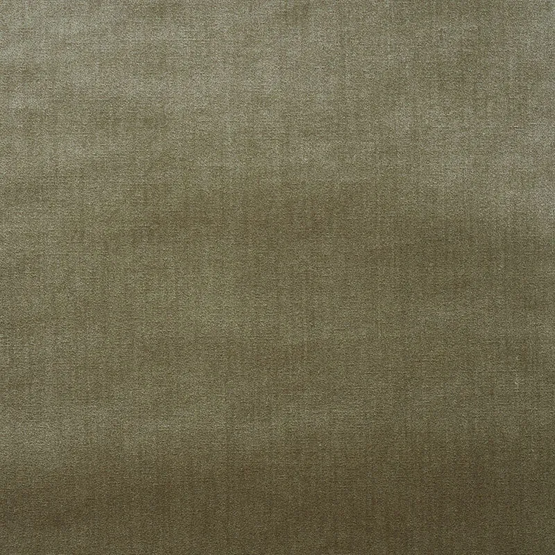 Venetian silk velvet | Lichen