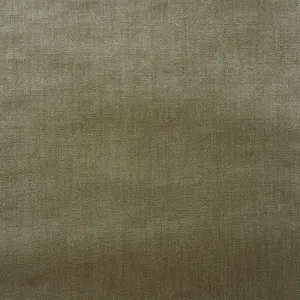 Venetian silk velvet | Lichen