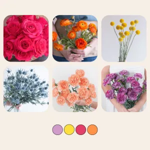 Vibrant Mixed Box
