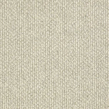 Vibrant Residential Carpet
