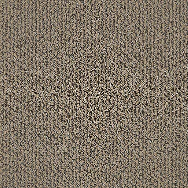 Vibrant Residential Carpet