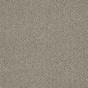 Vibrant Residential Carpet