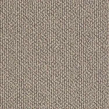 Vibrant Residential Carpet